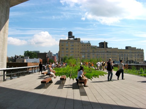 The High Line. Photo by Anna Peccianti