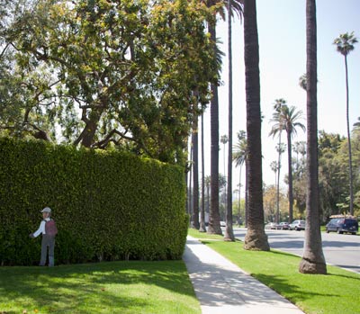 A painted laborer along Sunset Blvd in Beverly Hills by Romiro Gomez. Photo by Jorge Rivas via Colorlines