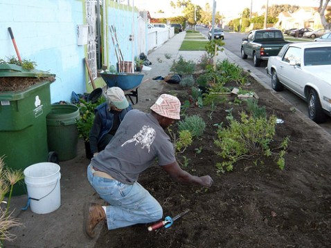 Ron Finely and friend tending his parkway garden. Photo via LA Green Grounds